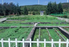 环球在线注册_环球（中国）